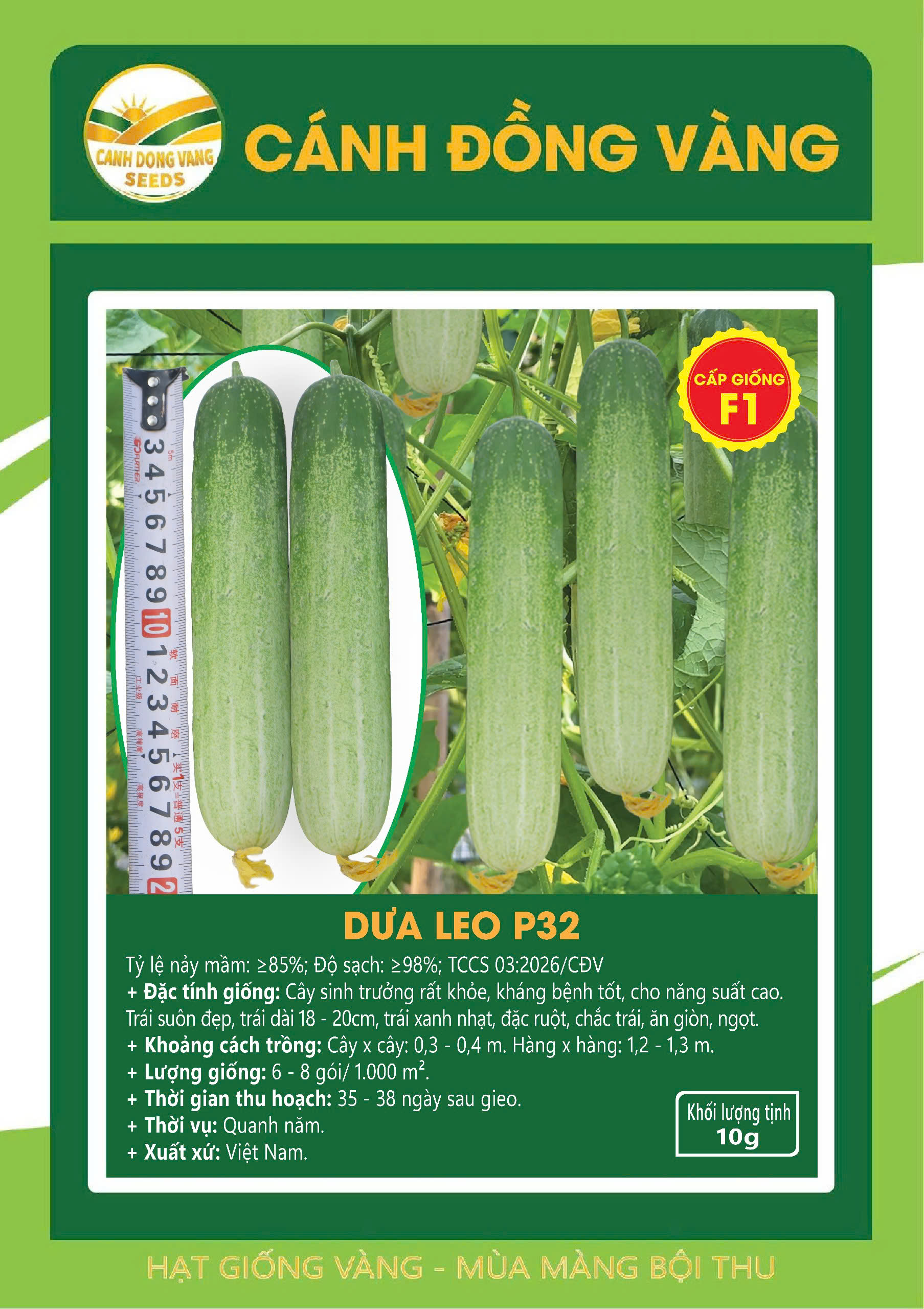 DƯA LEO P32